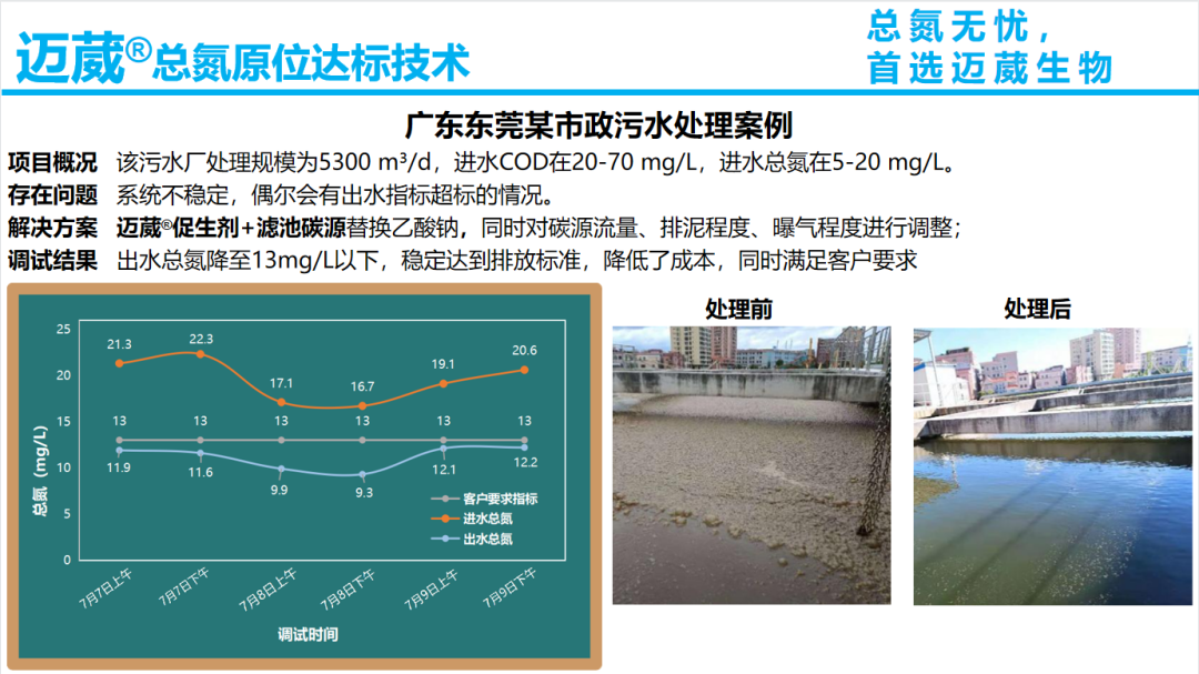 總氮原位達(dá)標(biāo)技術(shù)案例-市政污水處理