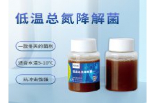 反硝化細(xì)菌在污水處理中的具體應(yīng)用是什么？